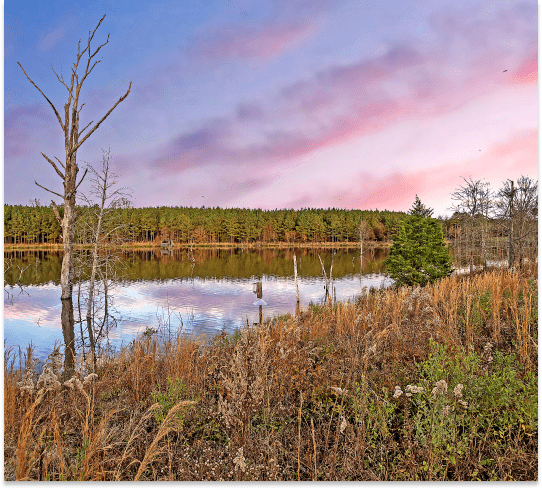 South Carolina and North Carolina Land Sales Agency