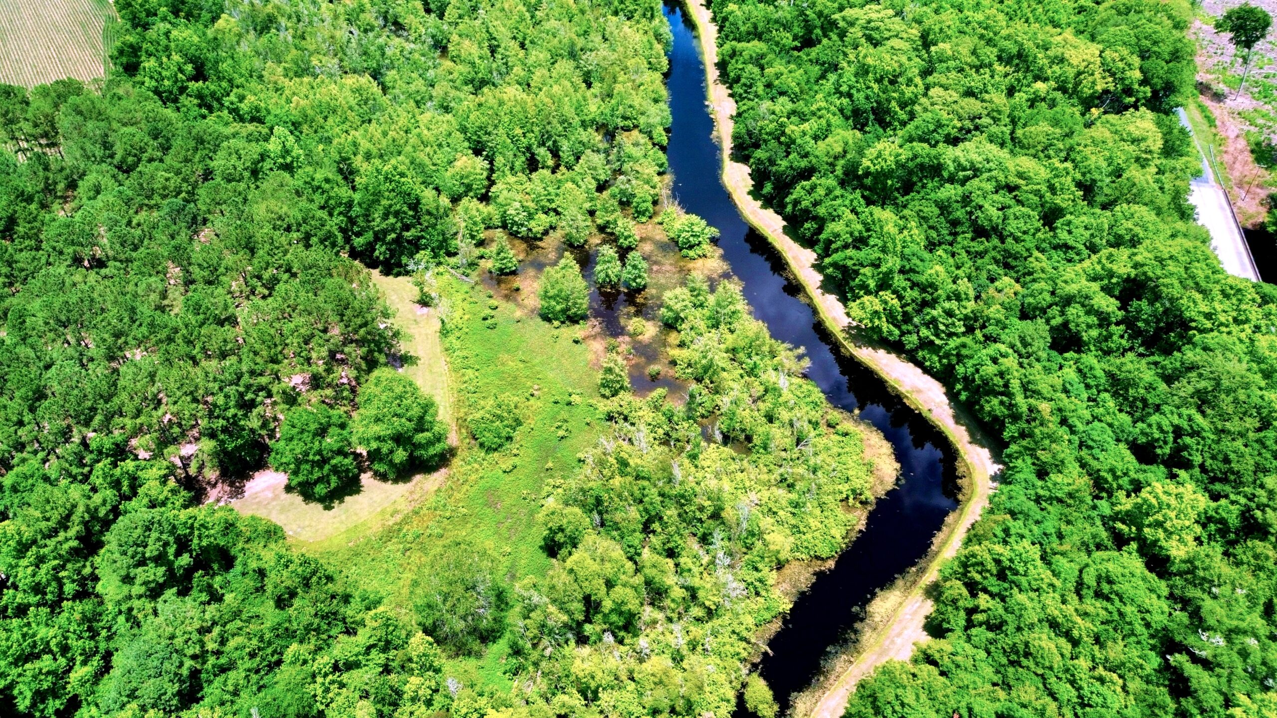 inline-images