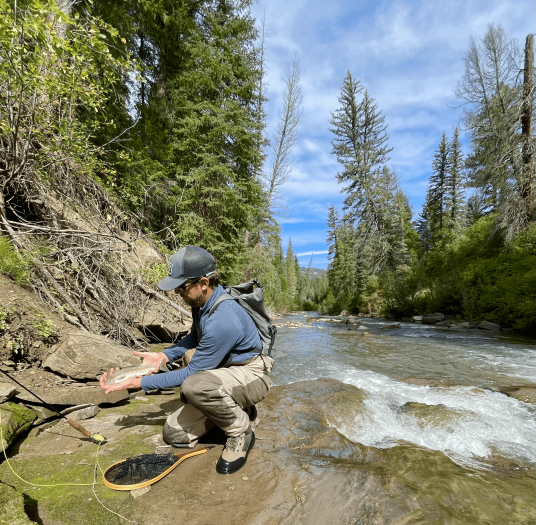 Cliff Creek